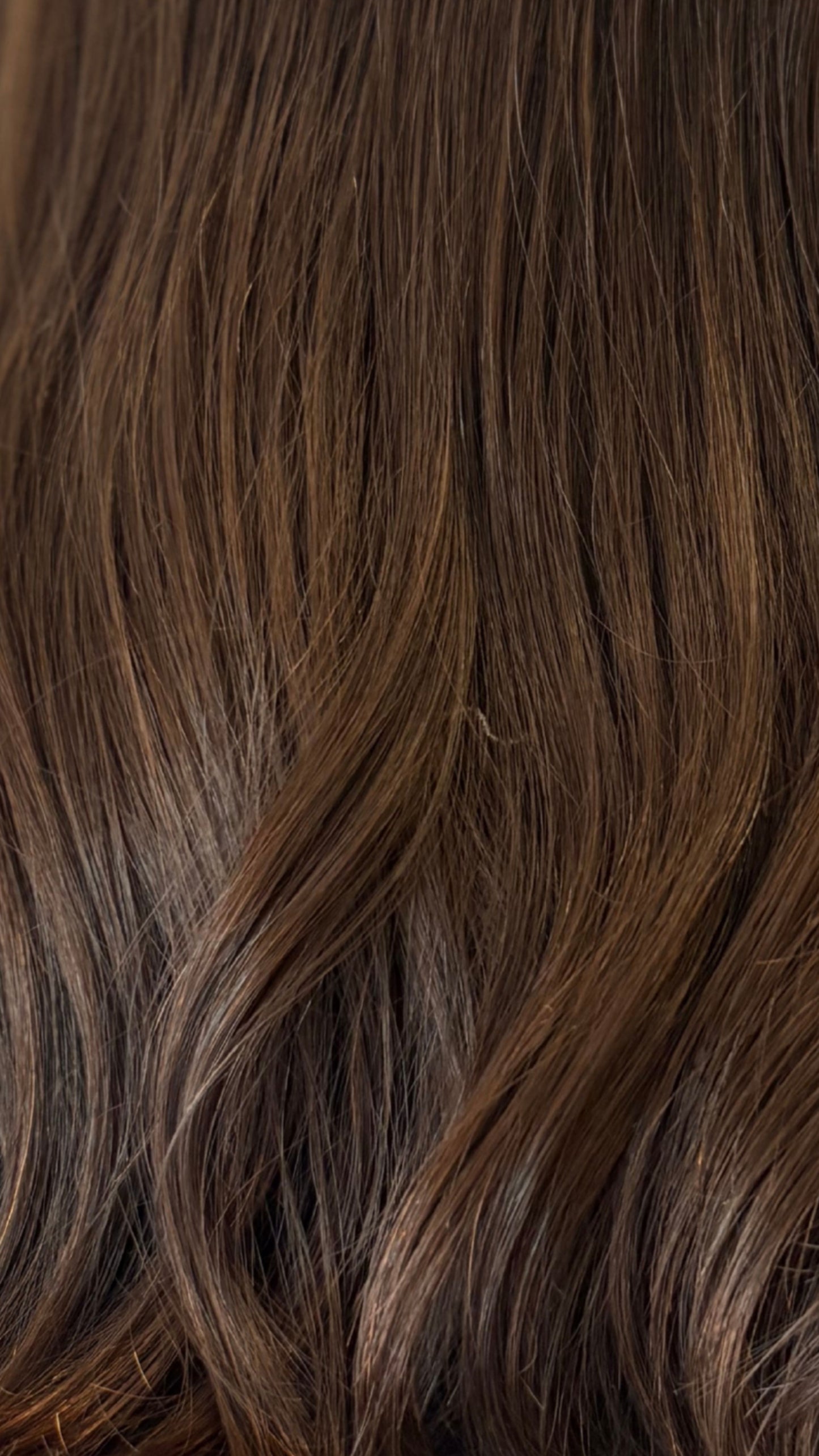 Lacetop Wig V. Eur #4 22” 1085128