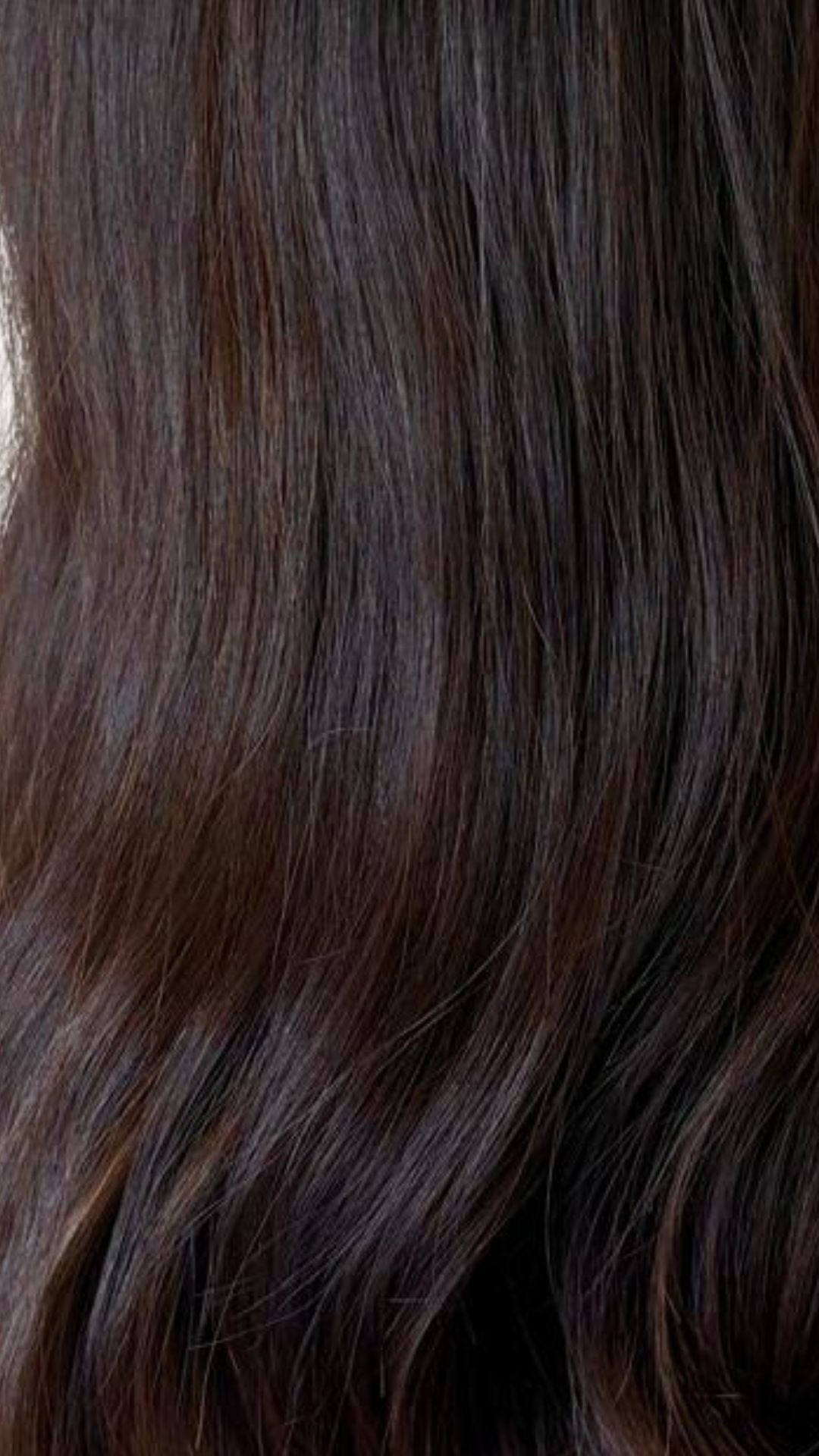 Lace top wig Human hair 4# 24' M